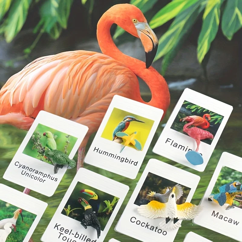 Animal Matching Card - Image 6