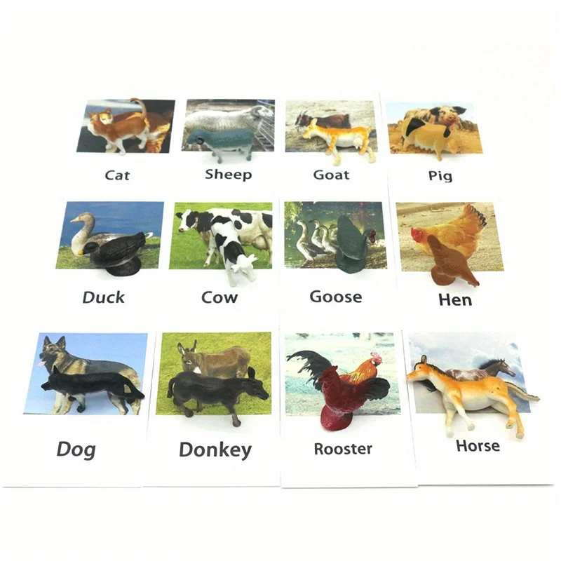 Animal Matching Card - Image 2