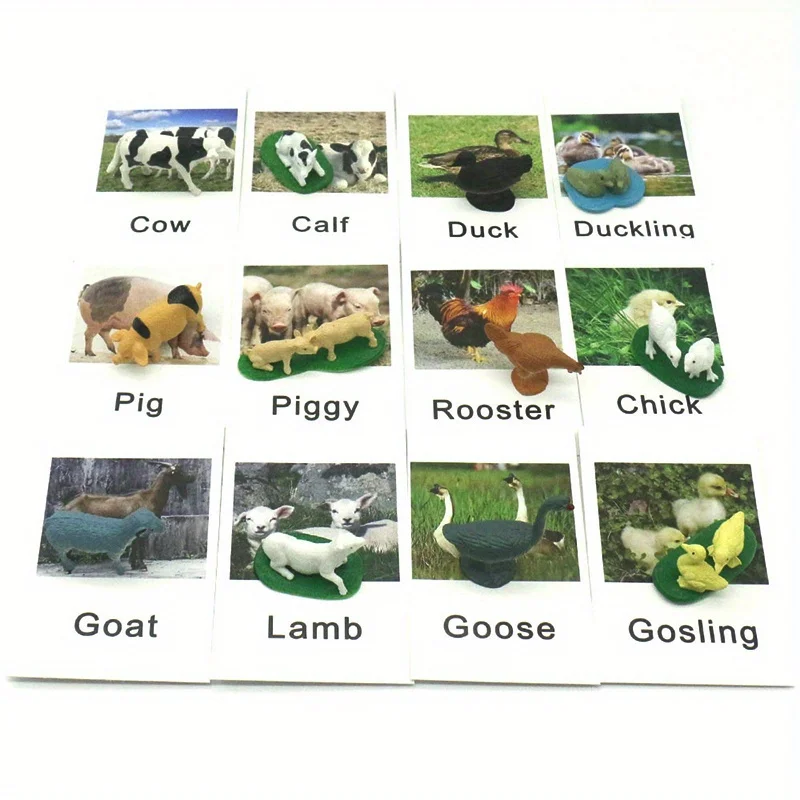 Animal Matching Card - Image 12