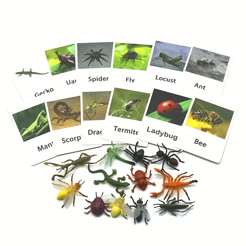 Animal Matching Card - Image 11
