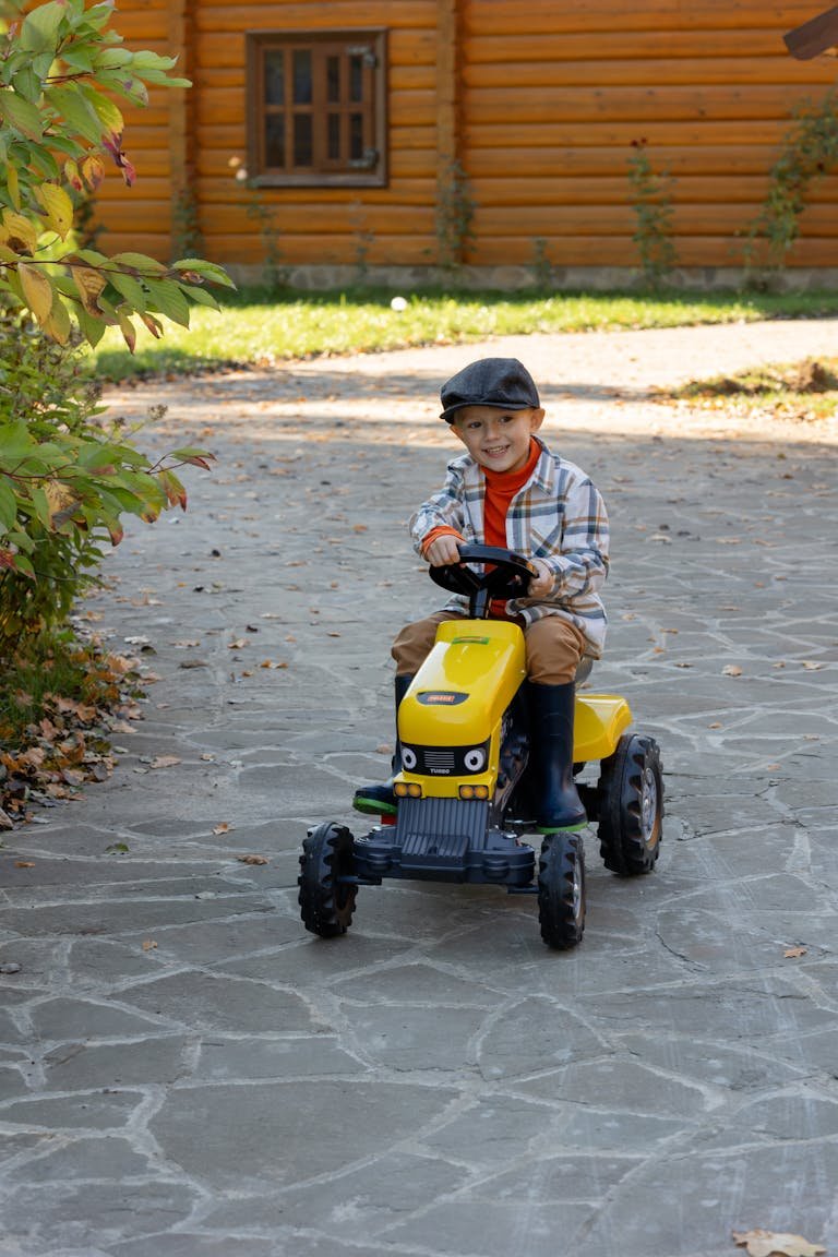 Free stock photo of boy, golden autumn, small farm